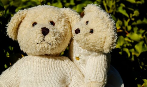 グレーゾーンは障害者？