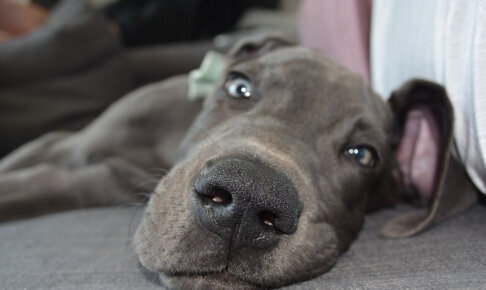 うちの子の悩み、誰に聞いてもらう？